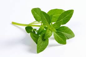 nb_nutricao_tempero_02