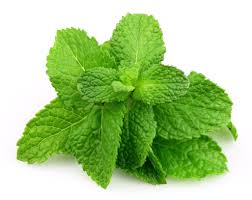 nb_nutricao_tempero_03